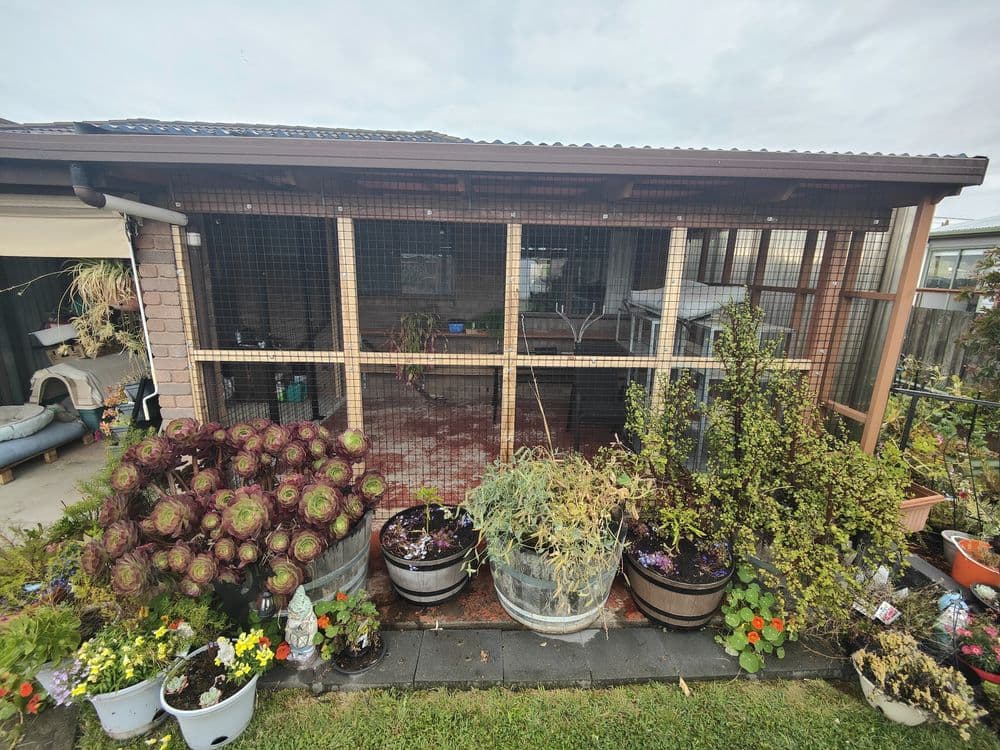 A timber-framed catio across the front of a house, surrounded by potted plants and flowers